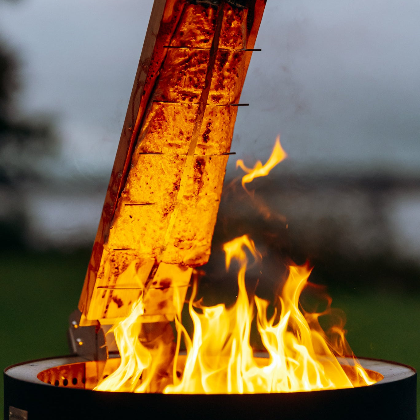 Flammlachsbrett für Feuerschale